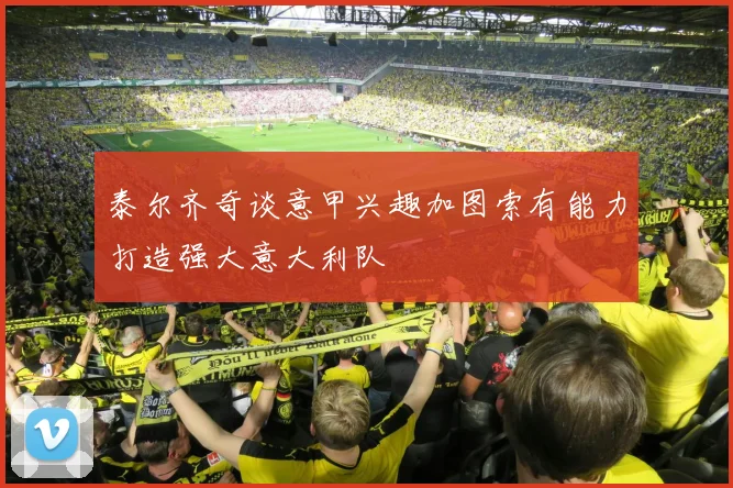 泰尔齐奇谈意甲兴趣加图索有能力打造强大意大利队