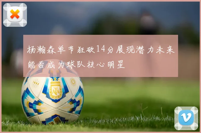 杨瀚森单节狂砍14分展现潜力未来能否成为球队核心明星