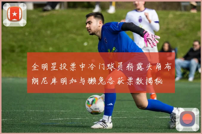 全明星投票中冷门球员崭露头角布朗尼库明加与獭兔各获票数揭秘